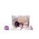 Lotus Vita Water Enhancer with Crystal Stones