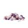 Lotus Vita Water Enhancer with rock crystals, amethysts, and rose quartzes.