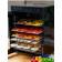 Wartmann Food Dehydrator WM-2512 DH from the side filled