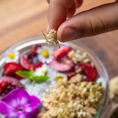 Elderflower Crunch