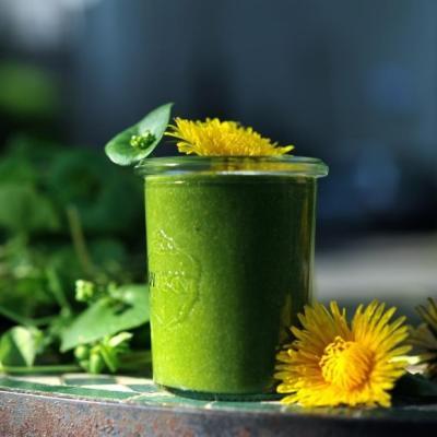 Wild Herbs Smoothie Recipes