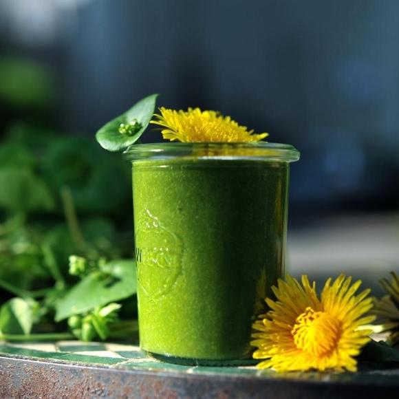 Wild Herbs Smoothie Recipe: 