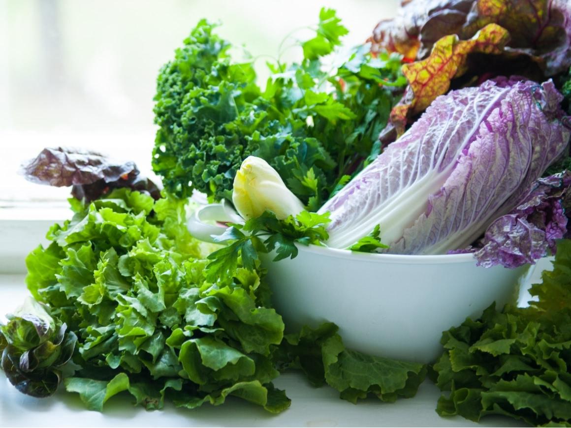 Many varieties of leafy greens on the windowsill.