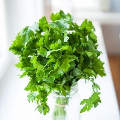 Parsley bunch