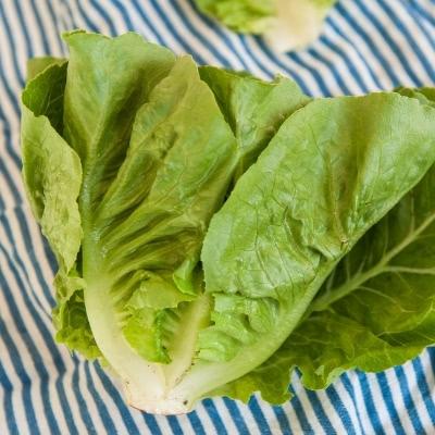 Romaine lettuce.