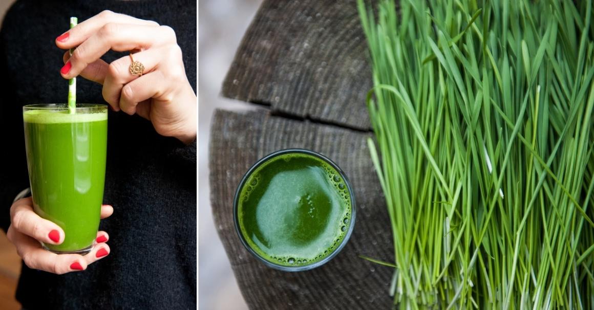 Wheatgrass juice incl. all info