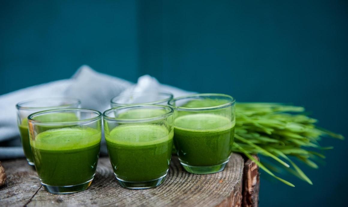 Prepare wheatgrass juice in slow juicer