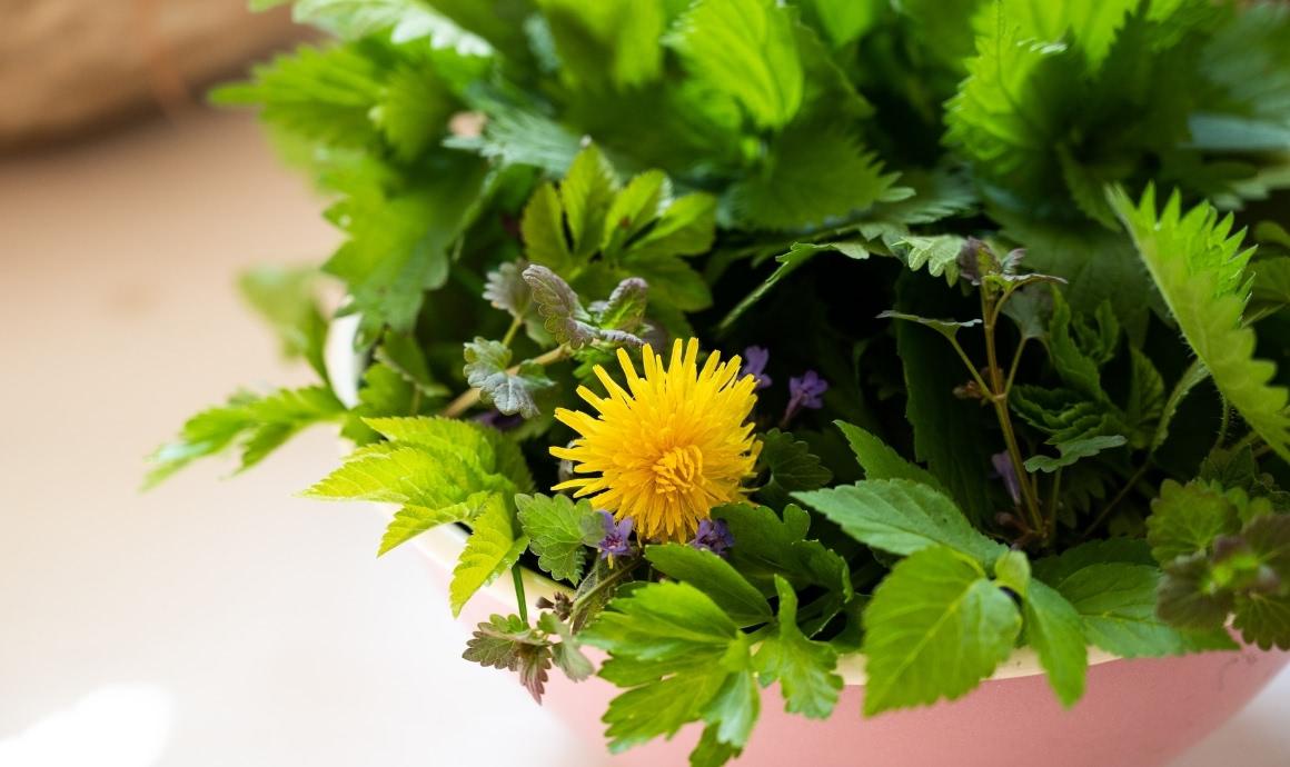 Fresh wild herbs for juicing