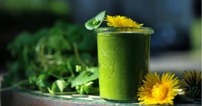 Wild Herb Smoothie Recipes