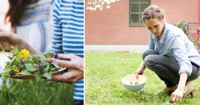 Wild Herbs Guided Tours