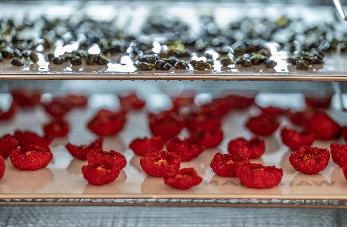 Making Dried Tomatoes and Dried Capers with the Wartmann Dehydrator WM-2512 DH