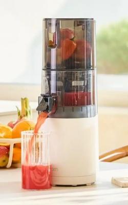 Hurom E30-ST - Self-Feeding Slow Juicer